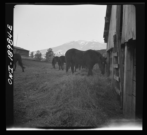 Untitled photo, possibly related to: Moreno Valley, Colfax County, New Mexico. A horse corral