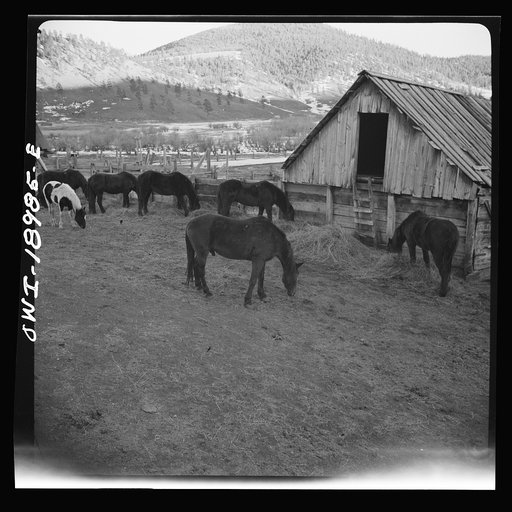 Moreno Valley, Colfax County, New Mexico. A horse corral