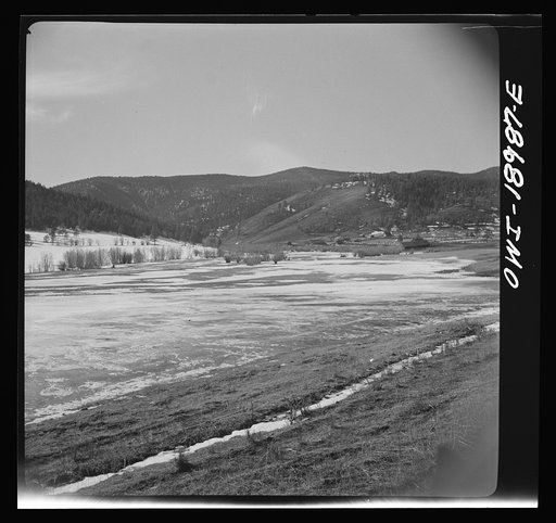 Untitled photo, possibly related to: Moreno Valley, Colfax County, New Mexico. Winter feeding on George Mutz's ranch