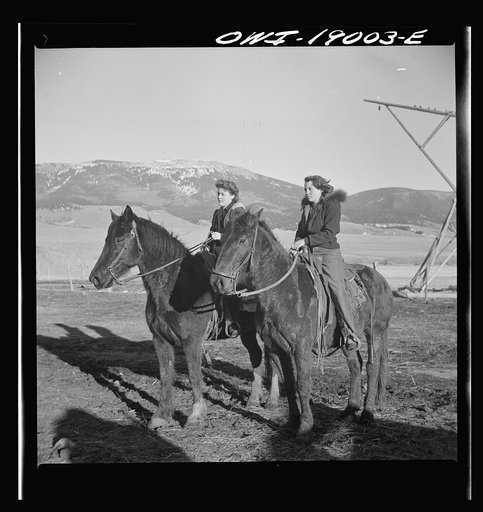 Untitled photo, possibly related to: Moreno Valley, Colfax County, New Mexico. The Mutz girls talking in the home corral on George Mutz's farm