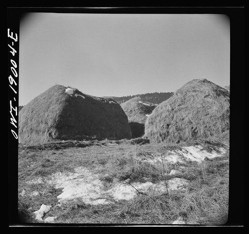Moreno Valley, Colfax County, New Mexico. Hay stacked for winter feeding on the Mutz ranch