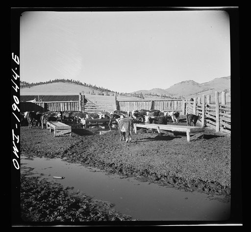 Moreno Valley, Colfax County, New Mexico. Corrals on George Mutz's ranch