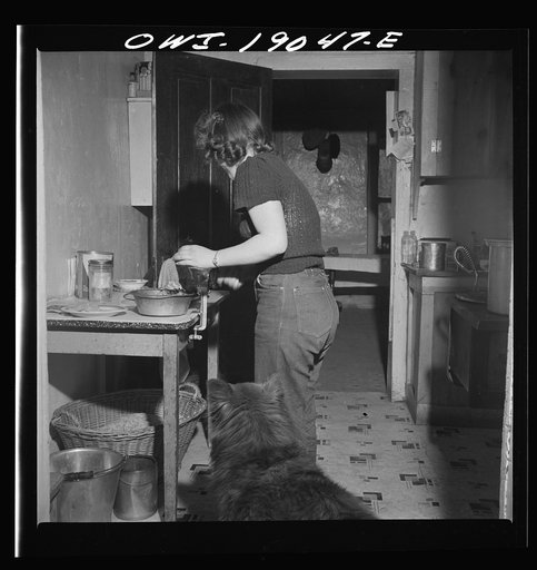 Untitled photo, possibly related to: Moreno Valley, Colfax County, New Mexico. The older daughter preparing dinner on George Mutz's farm