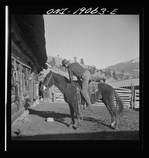Moreno Valley, Colfax County, New Mexico. William Heck, ready for a day's work
