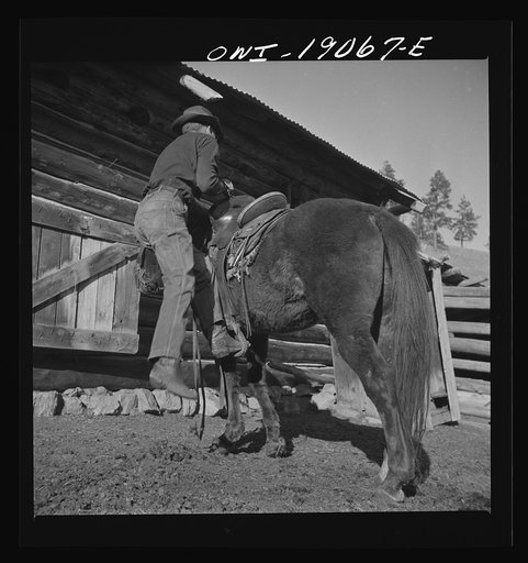Moreno Valley, Colfax County, New Mexico. William Heck swinging into the saddle