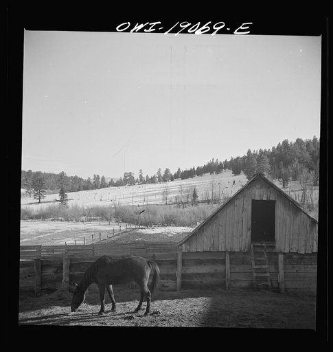 Untitled photo, possibly related to: Moreno Valley, Colfax County, New Mexico. A horse corral