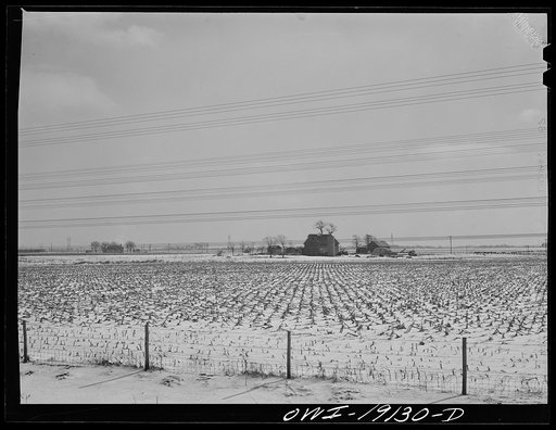 Untitled photo, possibly related to: Illinois farm landscape along the tracks of the Atchison, Topeka and Santa Fe Railroad enroute to Chillicothe, Illinois