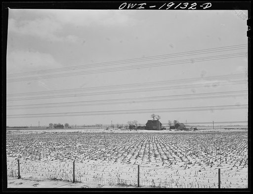 Untitled photo, possibly related to: Illinois farm landscape along the tracks of the Atchison, Topeka and Santa Fe Railroad enroute to Chillicothe, Illinois