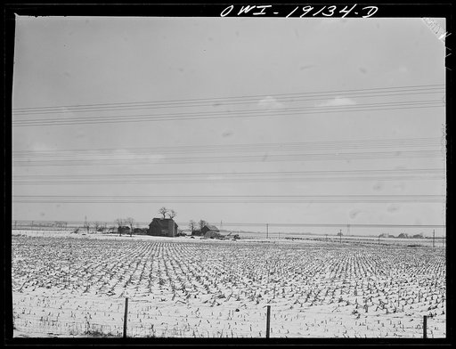 Untitled photo, possibly related to: Illinois farm landscape along the tracks of the Atchison, Topeka and Santa Fe Railroad enroute to Chillicothe, Illinois