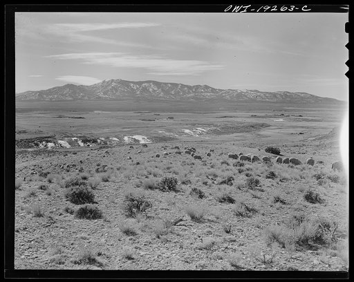 Los Cordovas (vicinity), west of Taos, Taos County, New Mexico. Sheep range of Blas Chavez