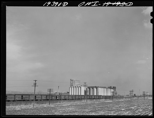 Empty Atchison, Topeka and Santa Fe Railroad stock cars. In the background, a ten-million bushel grain elevator