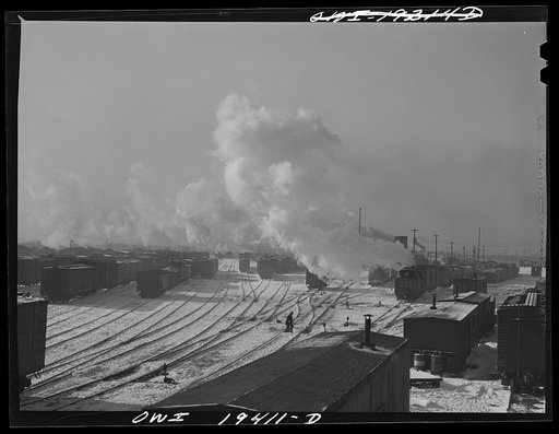 Chicago, Illinois. General view of part of a yard
