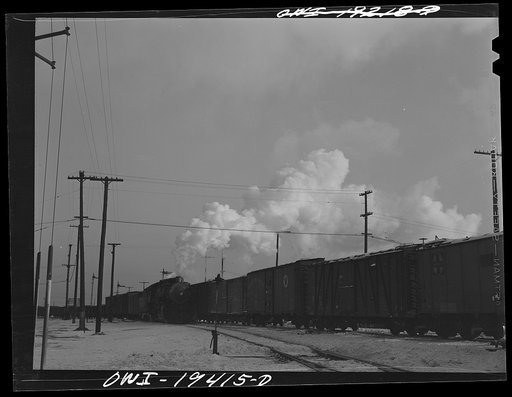 Untitled photo, possibly related to: Chicago, Illinois. General view of part of a yard