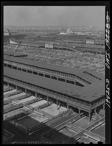 Kansas City, Missouri. General view of part of the stockyards