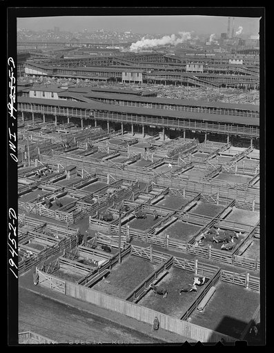 Kansas City, Missouri. General view of part of the stockyards