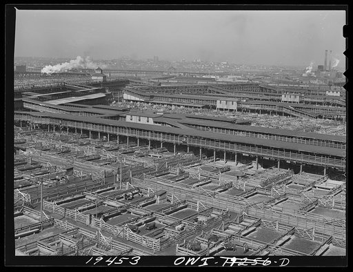 Kansas City, Missouri. General view of part of the stockyards