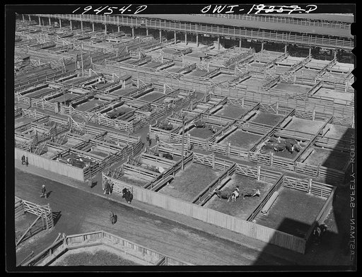 Kansas City, Missouri. General view of part of the stockyards
