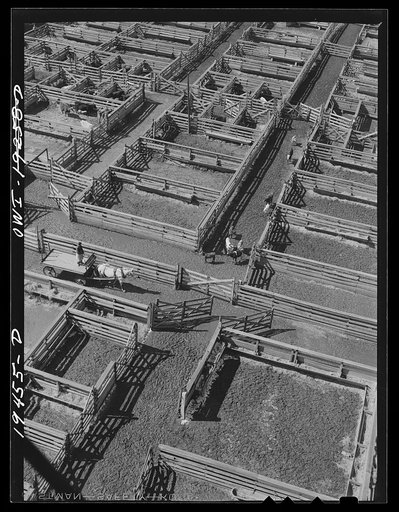 Kansas City, Missouri. General view of part of the stockyards