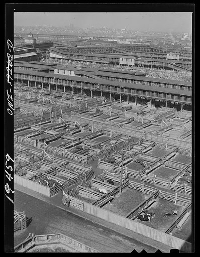 Kansas City, Missouri. General view of part of the stockyards