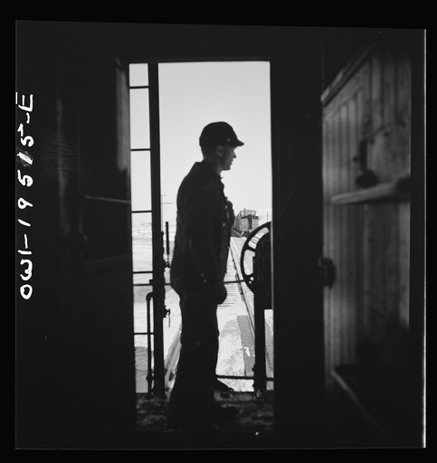 Untitled photo, possibly related to: Walter V. Dew, rear brakeman, on the Atchison, Topeka, and Santa Fe Railroad between Chicago and Chillicothe, Illinois, watching the train from the cupola