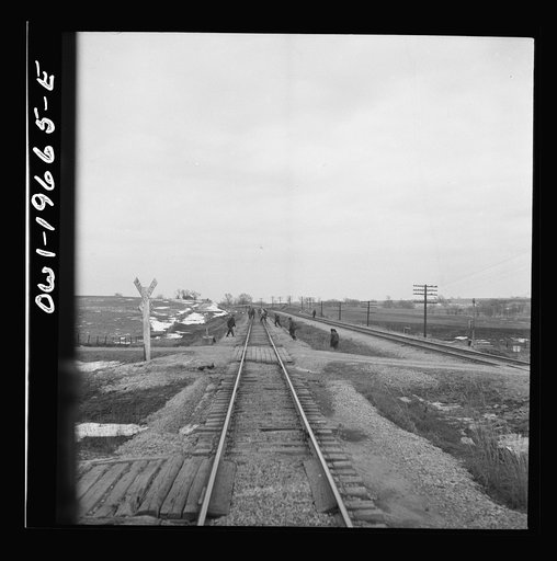 Untitled photo, possibly related to: Carrollton (vicinity), Missouri. A section gang at work along the Atchison, Topeka, and Santa Fe Railroad between Marceline, Missouri and Argentine, Kansas