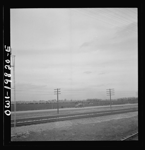 Untitled photo, possibly related to: An Atchison, Topeka, and Santa Fe passenger train passing through the Flint Hills district of Kansas. This is a famous stock feeding area