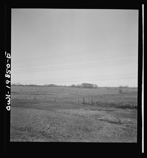 Untitled photo, possibly related to: Argonis, Kansas. Crossing wheat fields along the Atchison, Topeka and Santa Fe Railroad between Wellington, Kansas and Waynoka, Oklahoma