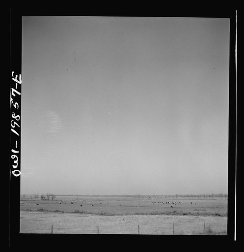 Untitled photo, possibly related to: Argonis, Kansas. Crossing wheat fields along the Atchison, Topeka and Santa Fe Railroad between Wellington, Kansas and Waynoka, Oklahoma