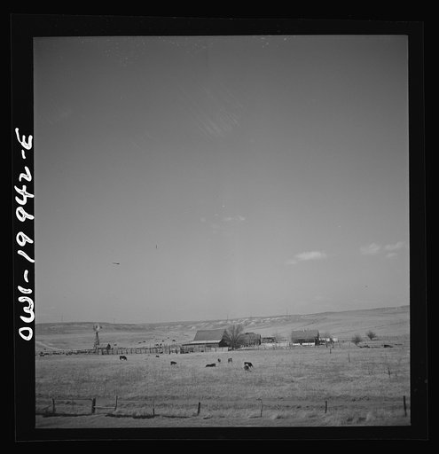 Codman, Texas. Cattle ranch along the Atchison, Topeka, and Santa Fe Railroad