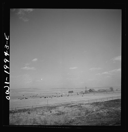 Untitled photo, possibly related to: Codman, Texas. Cattle ranch along the Atchison, Topeka, and Santa Fe Railroad