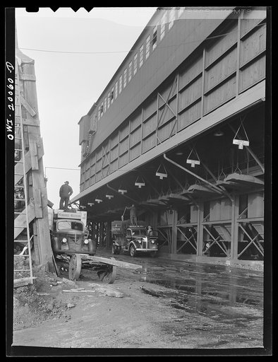 Untitled photo, possibly related to: Milwaukee Western Fuel Company, Milwaukee, Wisconsin. The processing plant at the Seventeenth Street coal dock of the Milwaukee Western Fuel Company