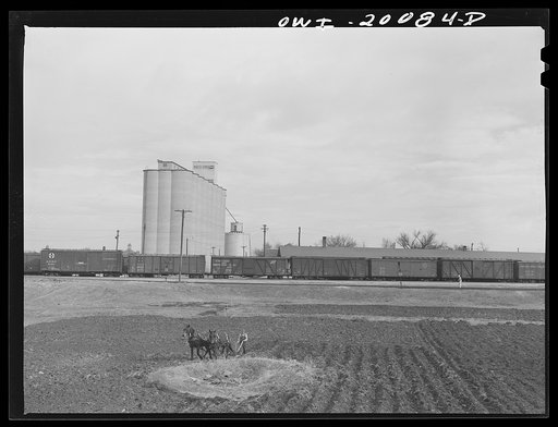 Untitled photo, possibly related to: Wellington, Kansas. Hired man ploughing a strip of land on the Atchison, Topeka and Santa Fe Railroad right of way. This strip has been rented by one of the railroad office workers