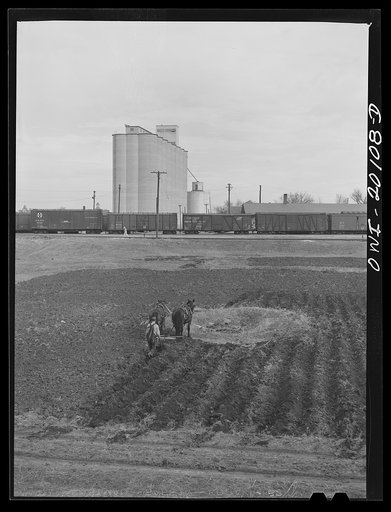 Wellington, Kansas. Hired man ploughing a strip of land on the Atchison, Topeka and Santa Fe Railroad right of way. This strip has been rented by one of the railroad office workers