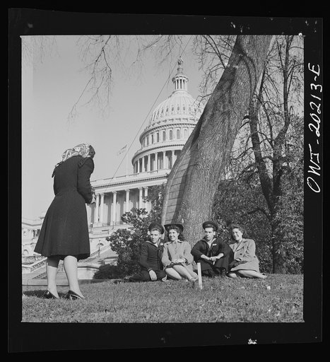 Washington, D.C. Taking pictures of the Capitol lawn on a Sunday afternoon