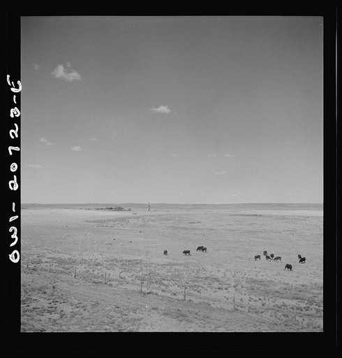 Encino, New Mexico. Sheep and cattle ranch along the Atchison, Topeka and Sata Fe Railroad between Vaughn and Belen, New Mexico