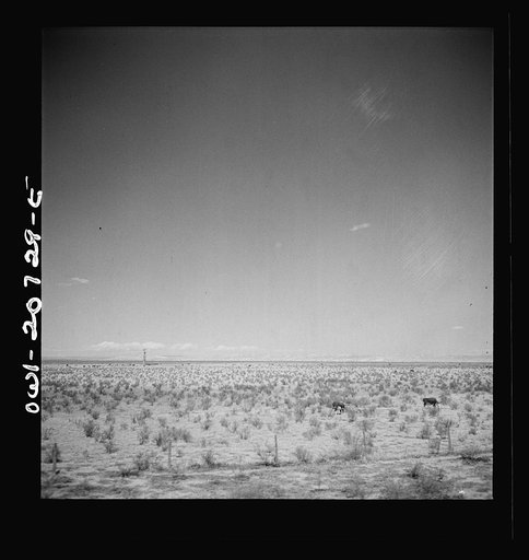 Lucy, New Mexico. Passing a ranch along the Atchison, Topeka and Santa Fe Railroad between Vaughn and Belen, New Mexico