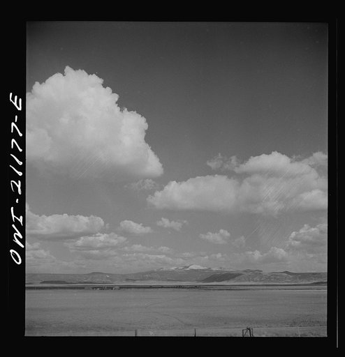 Grants, New Mexico. Cultivated fields along the Atchison, Topeka and Santa Fe Railroad between Belen and Gallup, New Mexico. This land, farmed by Mormons, shipped over a thousand carloads of carrots, lettuce, peas, etc., last year