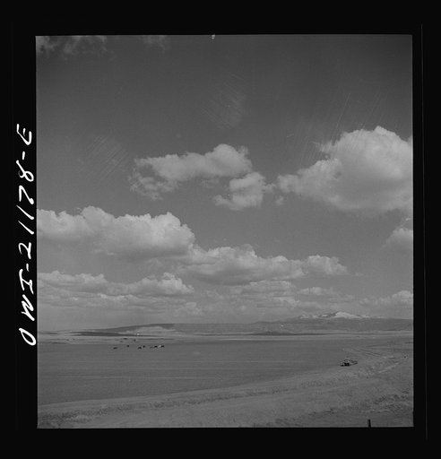 Grants, New Mexico. Cultivated fields along the Atchison, Topeka and Santa Fe Railroad between Belen and Gallup, New Mexico. This land, farmed by Mormons, shipped over a thousand carloads of carrots, lettuce, peas, etc., last year