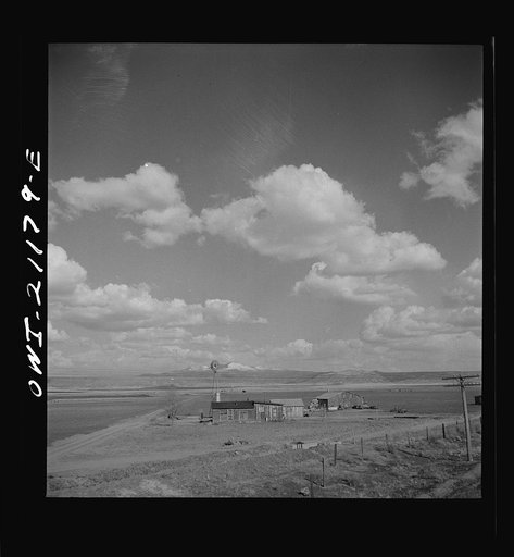 Grants, New Mexico. Cultivated fields along the Atchison, Topeka and Santa Fe Railroad between Belen and Gallup, New Mexico. This land, farmed by Mormons, shipped over a thousand carloads of carrots, lettuce, peas, etc., last year