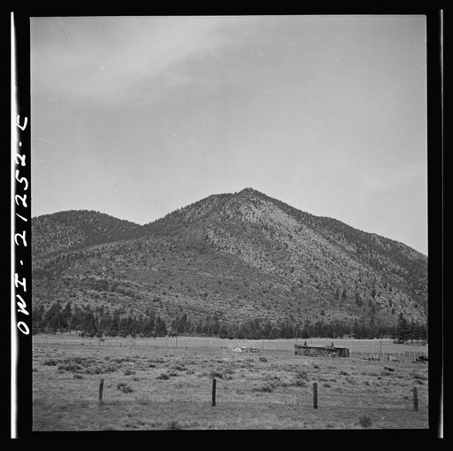 Untitled photo, possibly related to: Flagstaff (vicinity), Arizona. Houses along the Atchison, Topeka, and Santa Fe Railroad between Winslow and Seligman, Arizona. As you approach, the country gets more and more wooded