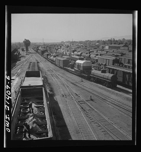 Needles, California. A general view of the Atchison, Topeka, and Santa Fe Railroads yard