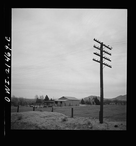 Barstow, (vicinity), California. Passing a farm along the Atchison, Topeka and Santa Fe Railroad between Barstow and San Bernardino, California