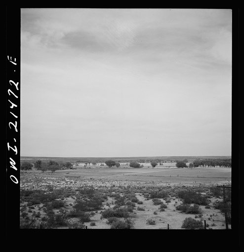 Barstow (vicinity), California. Cultivated fields along the Atchison, Topeka and Santa Fe Railroad between Barstow and San Bernardino, California. This area raises several crops of alfalfa a year