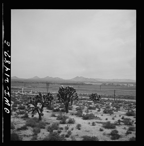Victorville (vicinity), California. Climbing the mountains on the Atchison, Topeka and Santa Fe Railroad between Barstow and San Bernardino, California. Note the Joshua trees