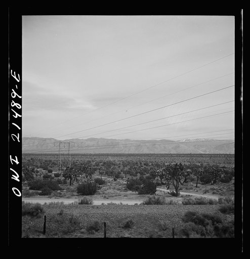 Victorville (vicinity), California. Climbing the mountains on the Atchison, Topeka and Santa Fe Railroad between Barstow and San Bernardino, California. Note the Joshua trees
