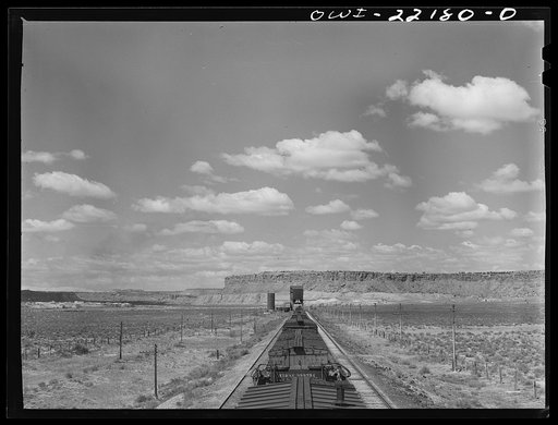 A freight train stopping for water at a siding enroute to Gallup, New Mexico