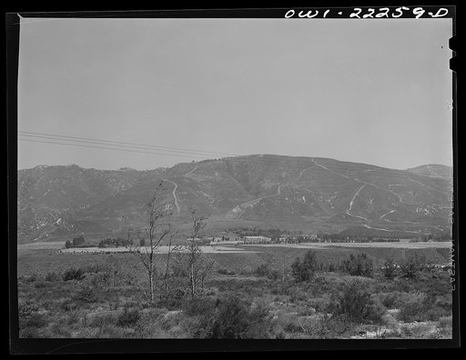 San Bernardino (vicinity), California. Vineyards on the benches at the foothills of the mountains near San Bernardino, California on the route