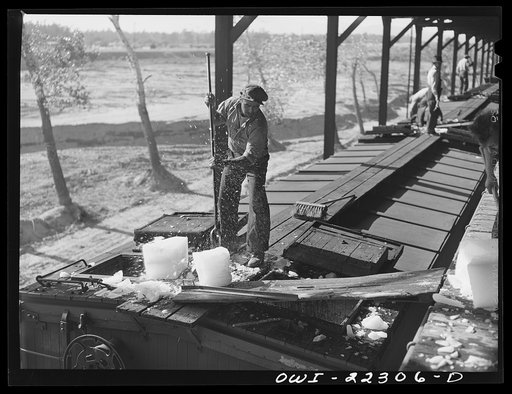 San Bernardino, California. Icing Atchison, Topeka and Santa Fe Railroad refrigerator cars at the ice plant