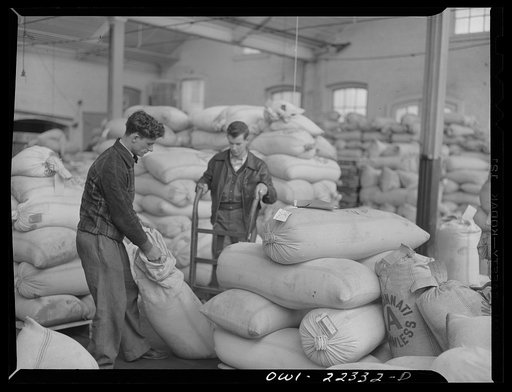Untitled photo, possibly related to: Philadelphia, Pennsylvania. Checking and filling domestic and foreign orders at the W. Atlee Burpee Company, seed dealers