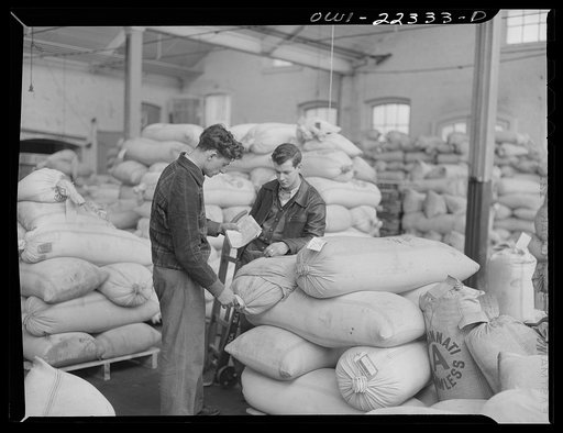 Philadelphia, Pennsylvania. Checking and filling domestic and foreign orders at the W. Atlee Burpee Company, seed dealers